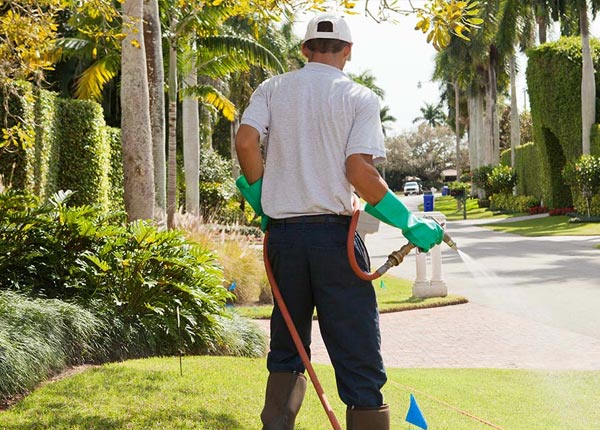 About Hillpoint WI Pest Control